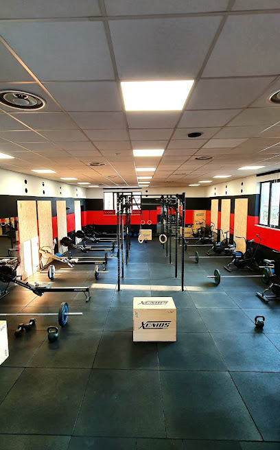 Bullfit - Crossfit e personal training in Brenta Bullfit - Crossfit e personal training Palestra Via G. Verdi