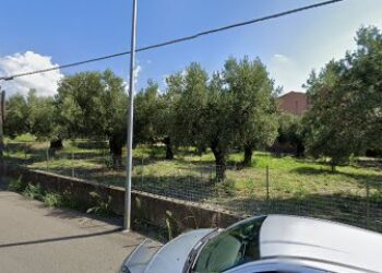 CrossFit Box 713 Lamezia Terme Palestra Via dei Brutii