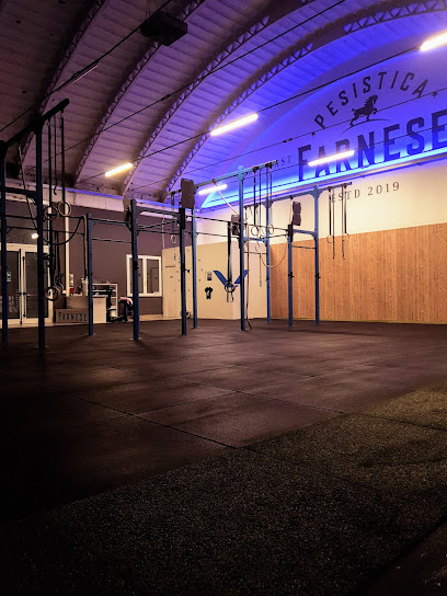 CrossFit Farnese Palestra Strada del Montecucco