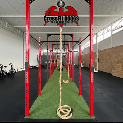 CrossFit Rogos Palestra S.S. 115