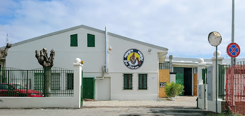 CrossFit San Andreas Vercelli Palestra Via Generale Alessandro di Casanova