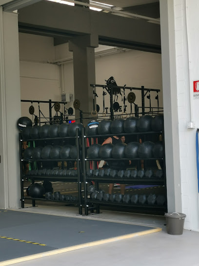 CrossFit Toret Palestra Lungo Dora Pietro Colletta