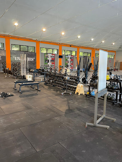 Crossfit Accademiles in Modena Crossfit Accademiles Palestra Corso Vittorio Emanuele II